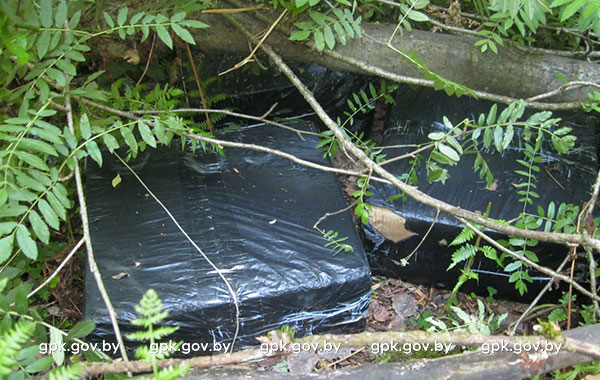 c03c076969c94571c0b23a36fce74188