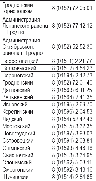 Без названия