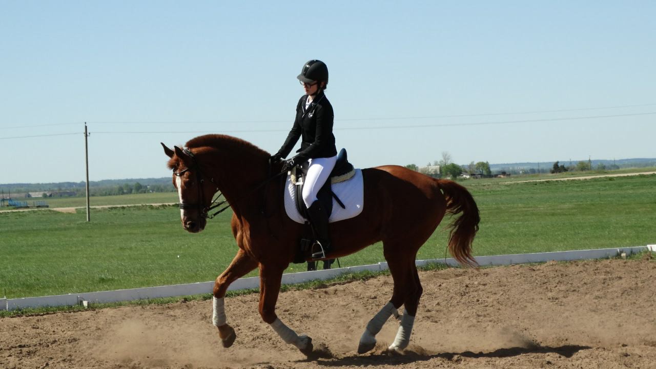 media-share-0-02-04-7c1064fb09fe8076617f5b24db89490303ae0fa9a48ce7fb55aff87546e1530b-Picture