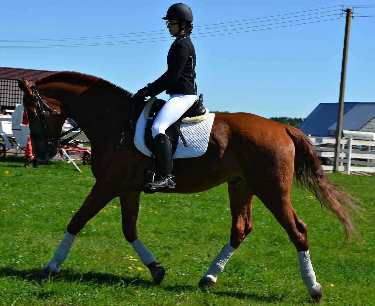 media-share-0-02-05-38488ba5a00541022a3c9833147757a6e80b1d962068cf7f1b39e7cfb20bab11-Picture